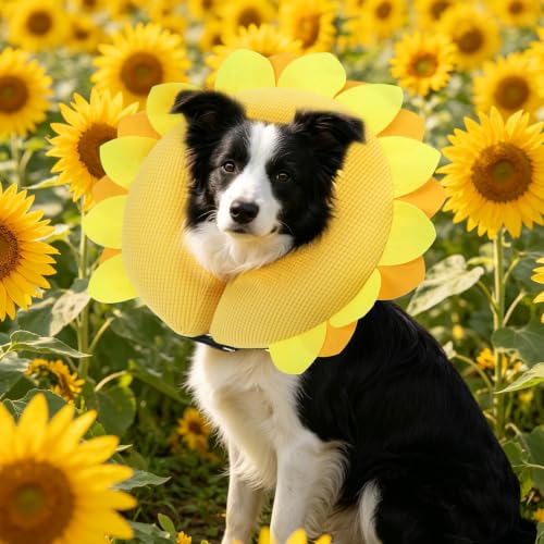 Inflatable Dog Cone Collar Alternative After Surgery (Yellow Sunflower / L(Neck 16"-18"))