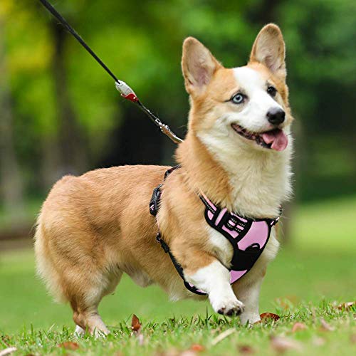 Dog Harness No Pull Medium Sized with 2 Leash Clips (Medium / Pink)