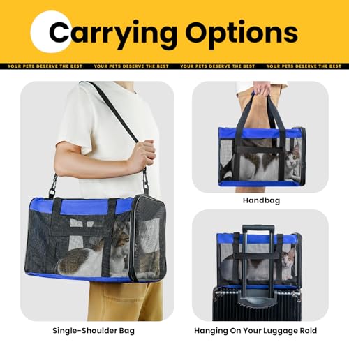 Cat Carrier Bag (M / Blue)