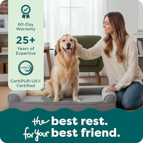 Orthopedic Dog Bed for Large Dogs w (Jumbo / Gray)
