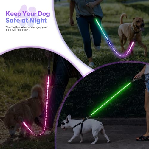 Light Up Dog Leash (Grey)