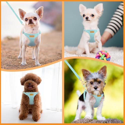 No Pull Dog Harness with Leash for Small Medium Dogs (Small(11-17.5lb) / Solid Teal)