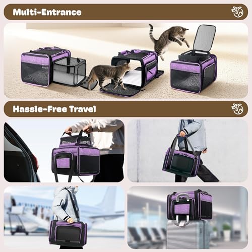 Top and 2 Sides Expandable Cat Carrier 18x11x11 TSA Airline Approved (Purple / 18.0"L x 11.0"W x 11.0"H)