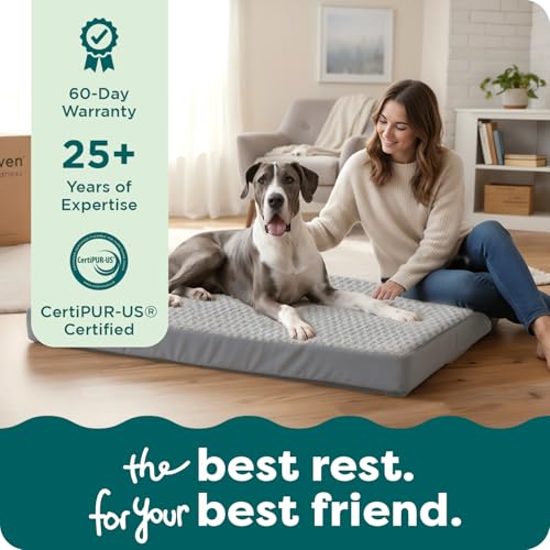 Orthopedic Dog Bed for Large Dogs (Jumbo Plus / Gray)
