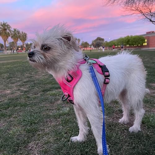 No Pull Dog Harness (XS / Pink(Matching Trim))