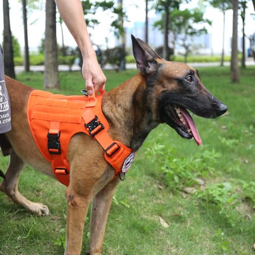 Tactical Dog Harness for Large Dogs (Large (Pack of 1) / Orange)
