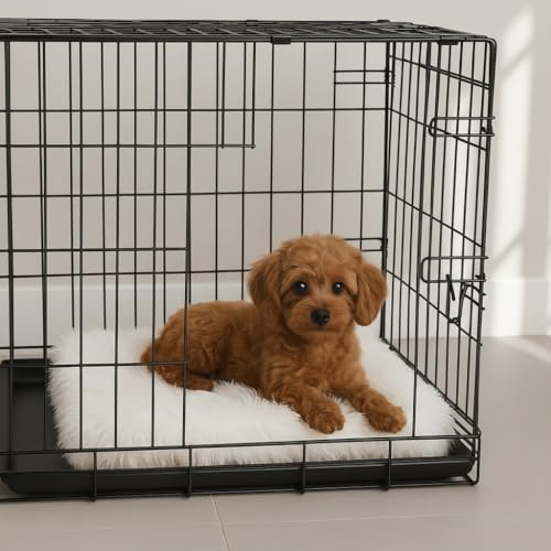 Faux Fur Orthopedic Rectangular Dog Bed (White / Small)