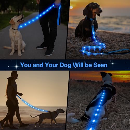 Light Up Dog Leash (Blue)