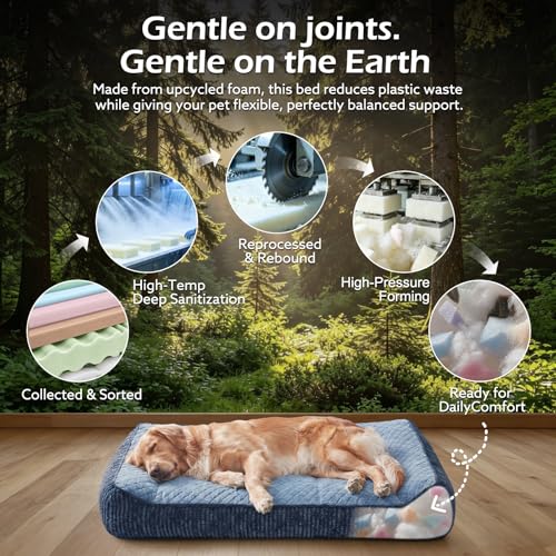 Orthopedic Dog Bed Medium Sized Dogs (L(35"L x 25"W x 8"Th) / Blue)