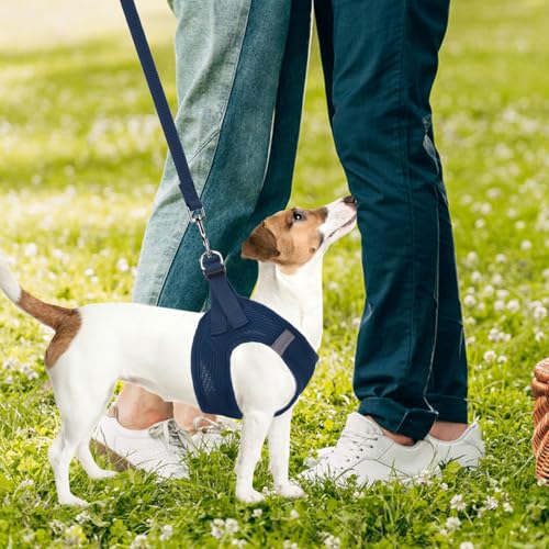 Dog Harness Collar and Leash Set No Pull for Small Medium Sized (Solid NavyBlue / M (CHEST 16"-18"))