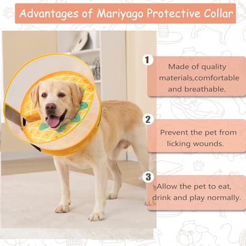 Inflatable Dog Cone Collar for Large Medium Small Dogs (Pineapple / Large)