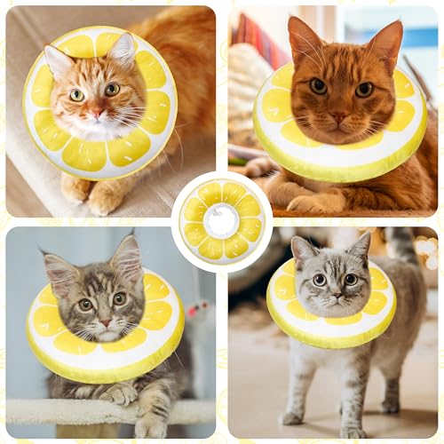 Cat Cone Collar Soft (Lemon / Medium)