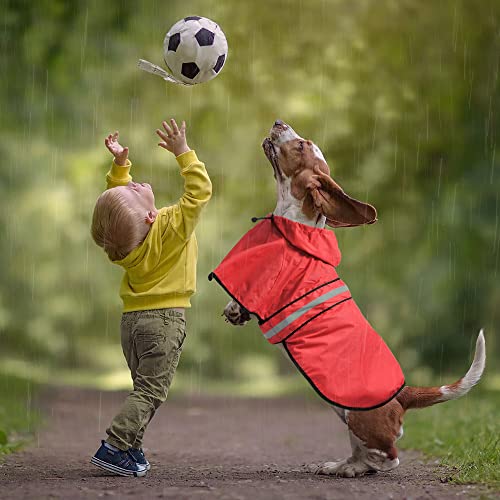 Waterproof Dog Raincoat (Red / Medium)
