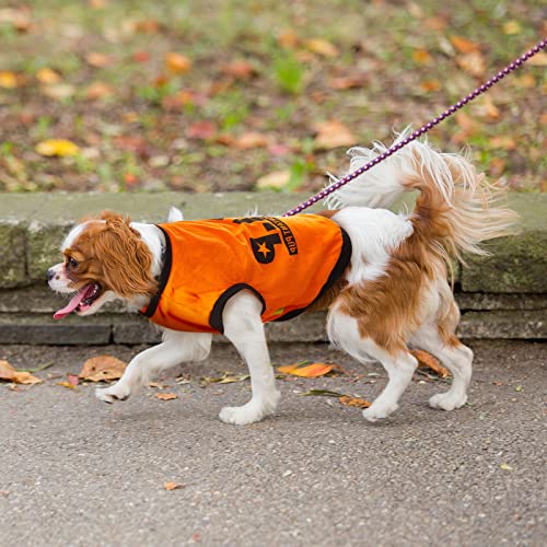 8 Pcs Dog Clothes for Small Dogs Boy Summer Shirts Soft Breathable Chihuahua Yorkie Cute Pattern Sleeveless Puppy Cat Tank Vest Fit for Mini and Medium Dogs (Large)