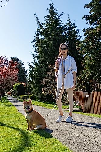 Heavy Duty Hands Free Dog Leash for Medium to Large Dogs for Comfortable Running (Beige)