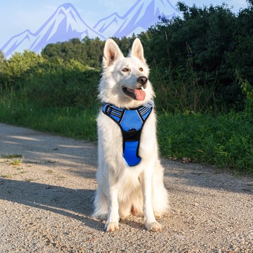 Dog Harness for Large Dogs (X-large / Blue)