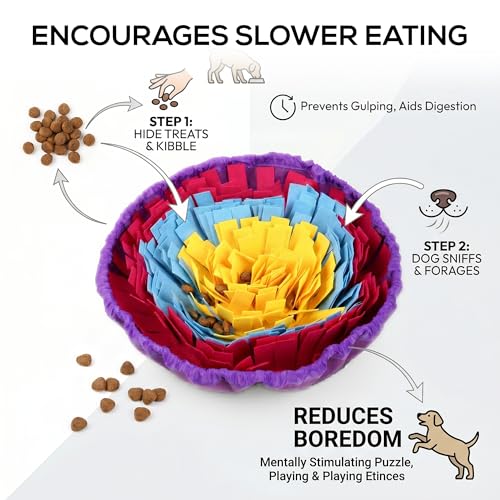 Snuffle Mat for Dogs