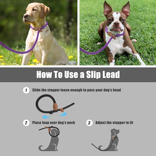 Heavy Duty Slip Lead No Pull Leash w Leather (Purple / 6 Feet)