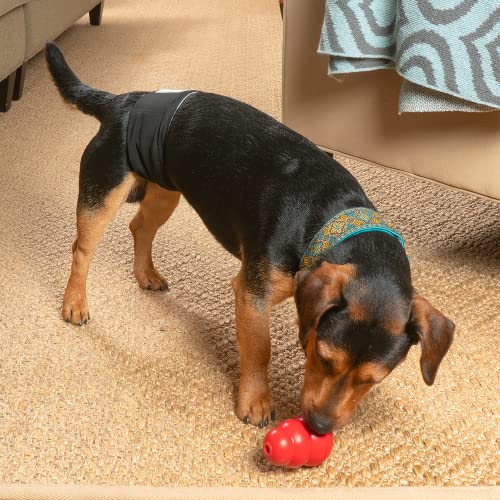 Washable Belly Bands for Male Dogs (Small (13-16") / Black)