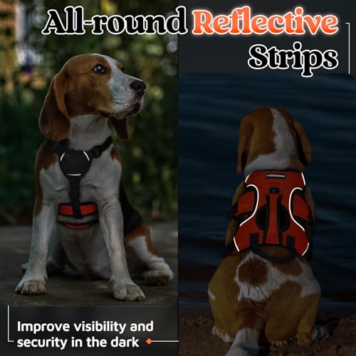 Escape Proof Dog Harness for Small (Orange / Small)