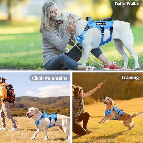 Escape Proof Dog Harness with Double Handle+4 Removable Patches (X-Large / Blue)
