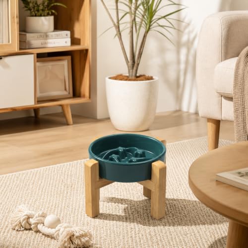 Ceramic Slow Feeder (Stars mark-Forest Green / 8.26in)