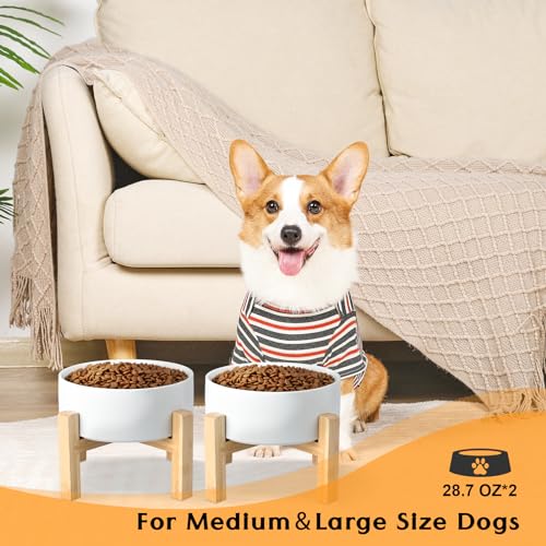 Ceramic Elevated Dog Bowls 2 Pack (Medium - 3.6 CUPS*2 / White)