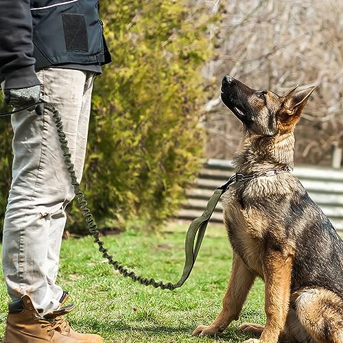 Tactical Dog Leash (Max: 5.2ft / Green)