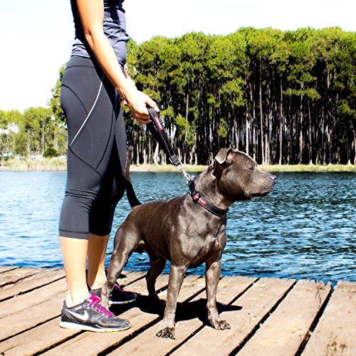 Neo Mongrel 12 Inch Short Dog Leash for Large Dogs (Red)