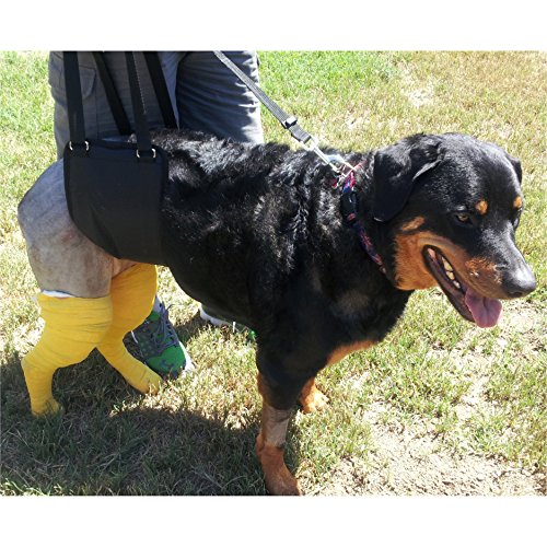 Dog Support Sling Rear Harness (Large - Female)