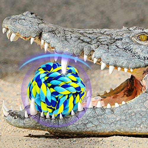 Dog Toys for Aggressive Chewers (6 Packs / Large)