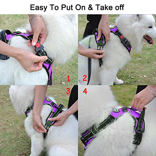 No Pull Dog Harness Large with Front Clip & Neck Release Buckle (XL / Purple)