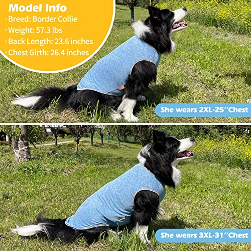 2Pack Dog Shirt for Large Dogs Sun Protection Tank Top for Summer (XXX-Large (55-75lbs) / 3# 2Pack (Light Blue+Grey))