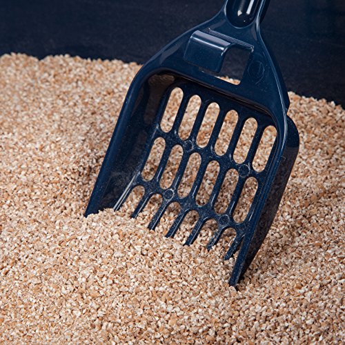 Large Front Door Cat Litter Box (Navy / Hooded)