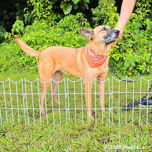 Animal Barrier Fence