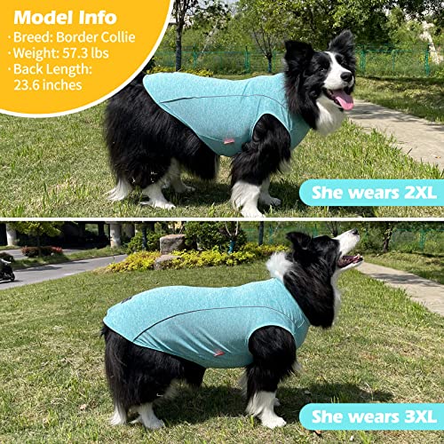 Reflective Dog Shirt (XX-Large (40-55lbs) / 5#Lake Blue)