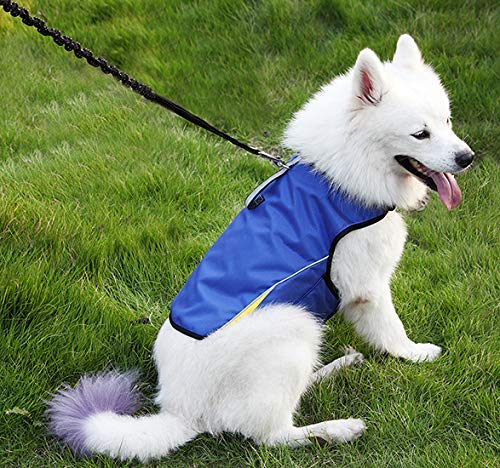 Dog Anxiety Jacket (Blue / Large)