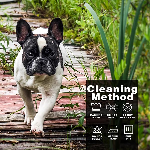 Upgrade Your Pup's Wardrobe (XL-(22~29lb) | Chest(~22") / Black)