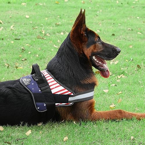Dog Harness No (Small (Pack of 1) / FLAG)