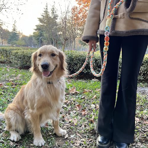 5FT Braided Cotton Rope Leash for Small (Fiesta Twist)