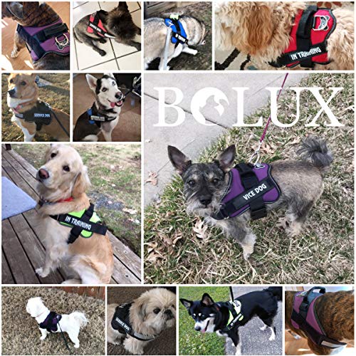 Dog Harness No (Medium (Pack of 1) / Army yellow)