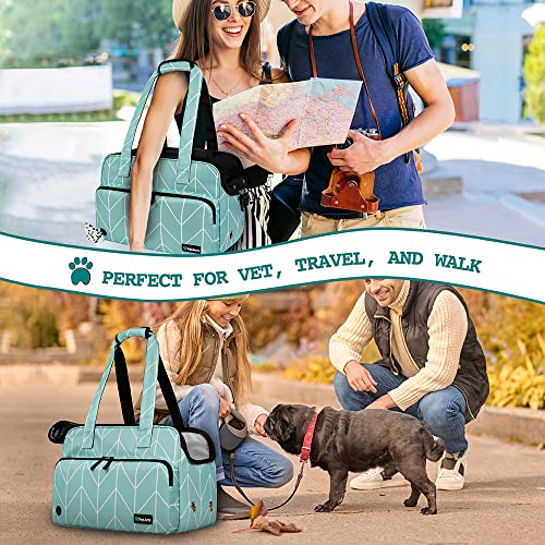 Small Dog Purse Carrier (Chevron Teal)