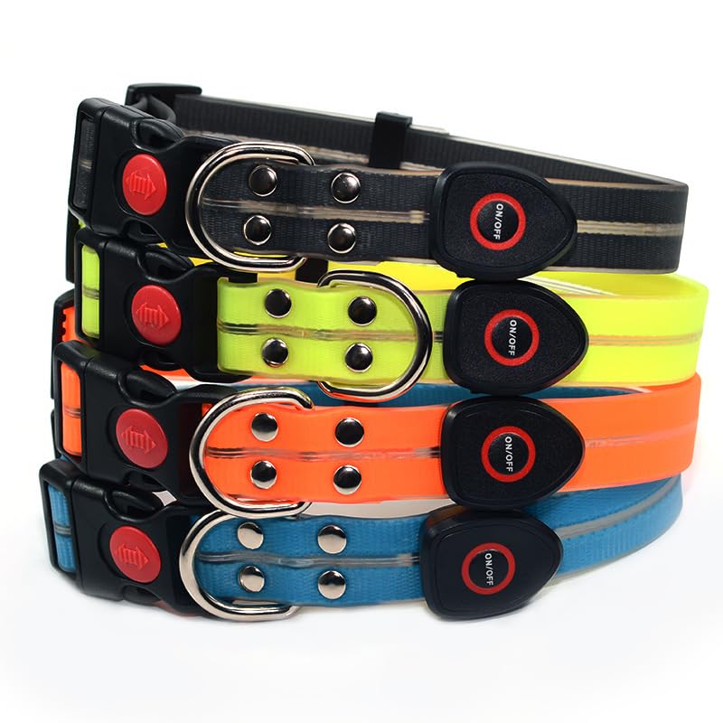 LED Dog Collar & 4 Foot Leash (Orange)