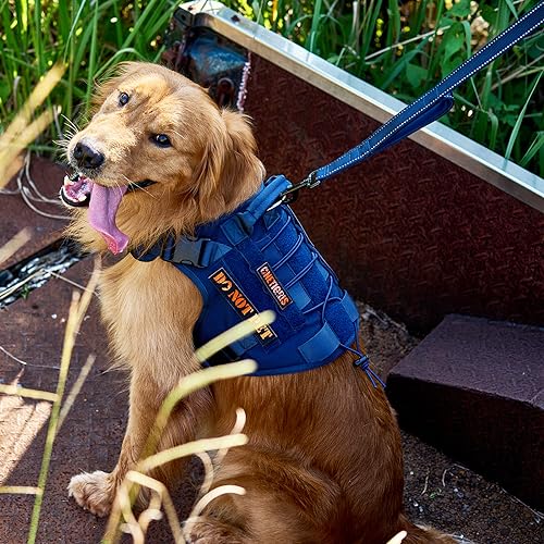 No Pull Dog Leash with Handle for Medium Large Dogs (Blue / 4FT)