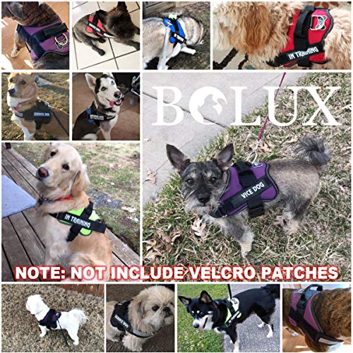 Dog Harness No (Large (Pack of 1) / Black)