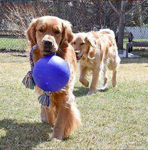 Romp-N-Roll Rope & Ball Dog Toy, 8 in Large, Blue (Blue / Large (8 in))