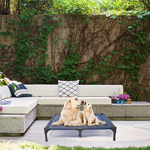 Elevated Dog Bed for Medium Dogs (L (36"L x 30"W x 7"H) / Blue)