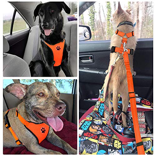 Dog Car Harness Seat Belt (Small / ·Orange)