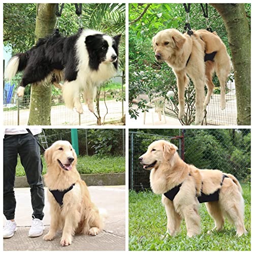 2 IN 1 Dog Grooming Hammock with Multifunction Leash (XL)