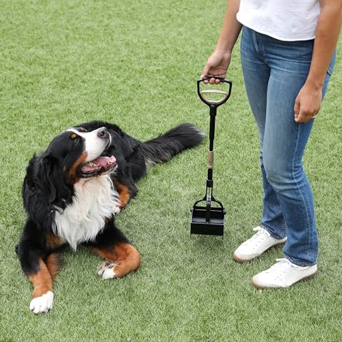 Arm and Hammer Claw Pooper Scooper for Dog Waste (One Size / Claw Scooper)